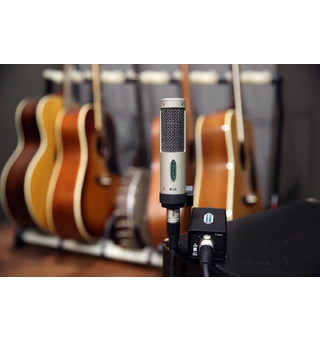 Royer Labs R-10 Studio Ribbon Microphone